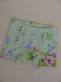 Asian Spring Boxer Briefs, Size 2T/3T
