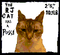 RJCat3-finished-120-1.gif