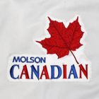 Manitoba Moose 2000-01 jersey photo Manitoba Moose 2000-01 P3.jpg