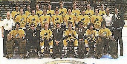 1977-78 Cincinnati Stingers