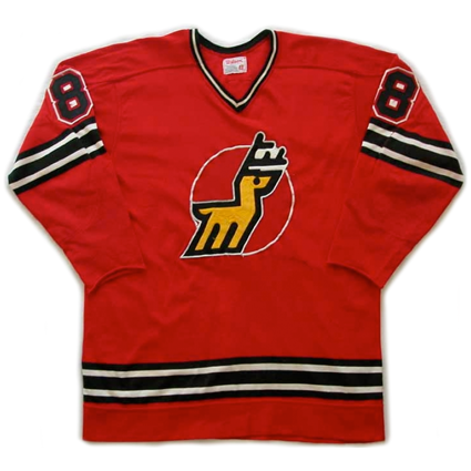 Michigan Stags jersey
