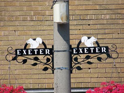  photo Exeter squirrel signs.jpg