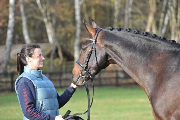 Tom Welling Unlimited View topic Jamie White at Oldenburg Stallion Days 