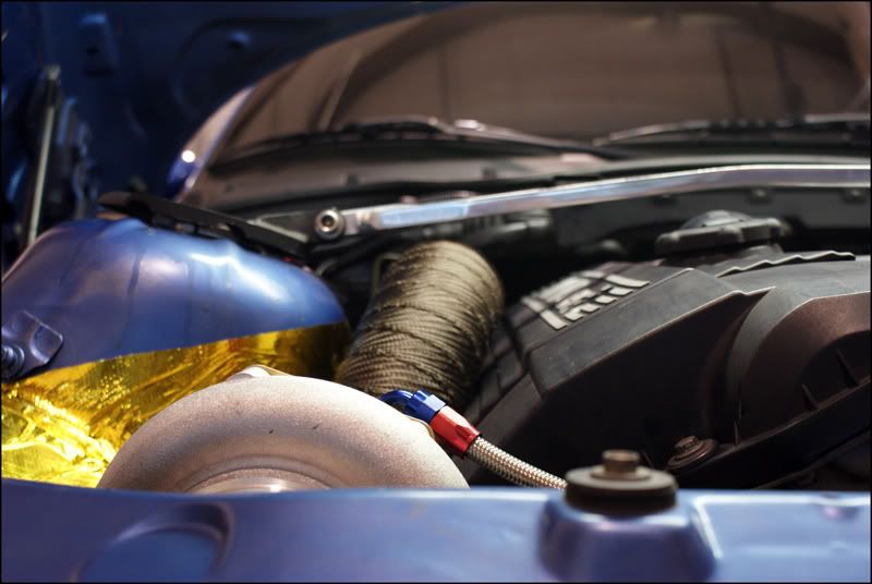 [Image: DSC09461R.jpg]