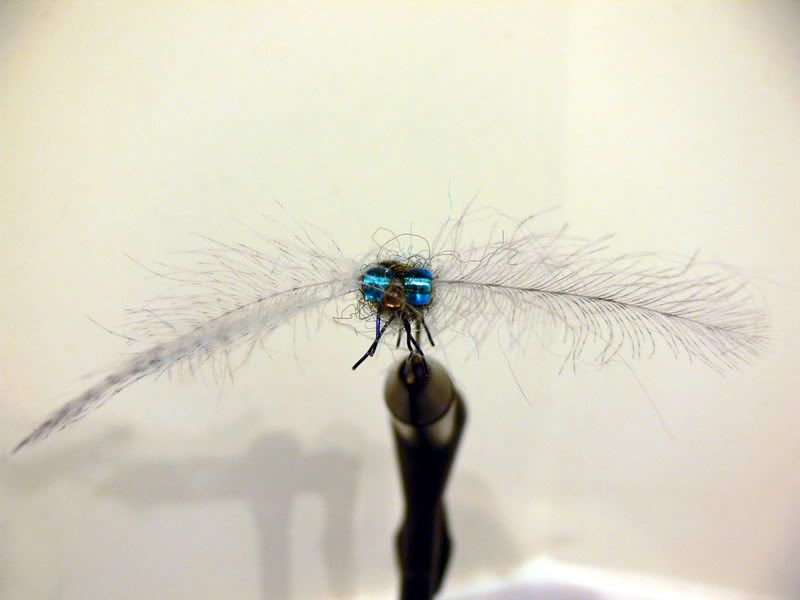 dragonfly3.jpg