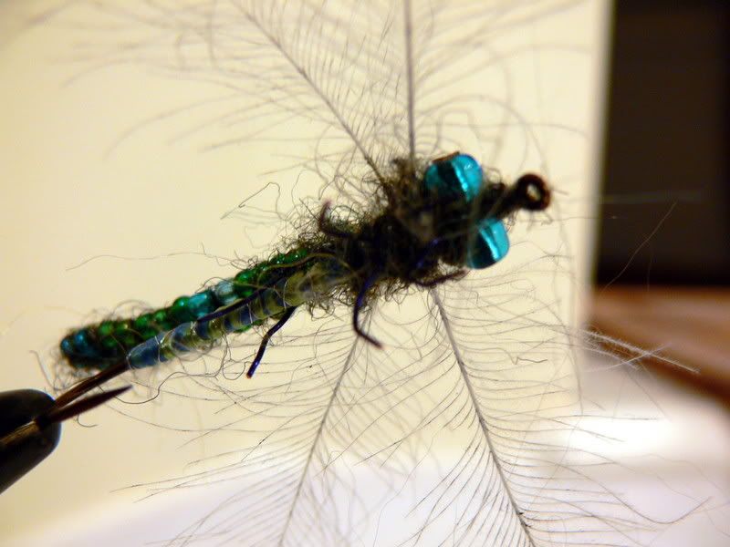 dragonfly7.jpg