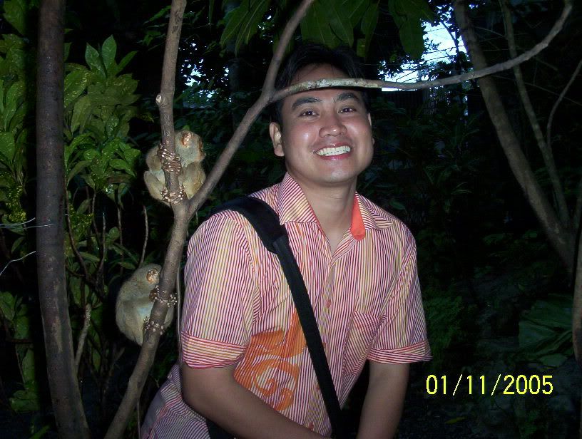 Tarsiers Encounter, Loboc River