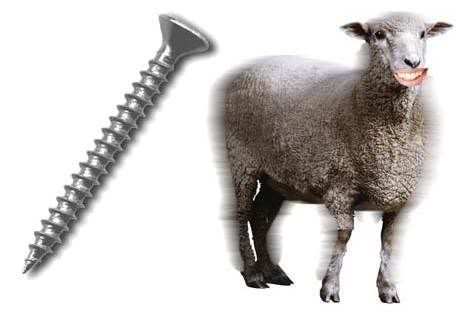 Photo Sharing and Video Hosting at Photobucket