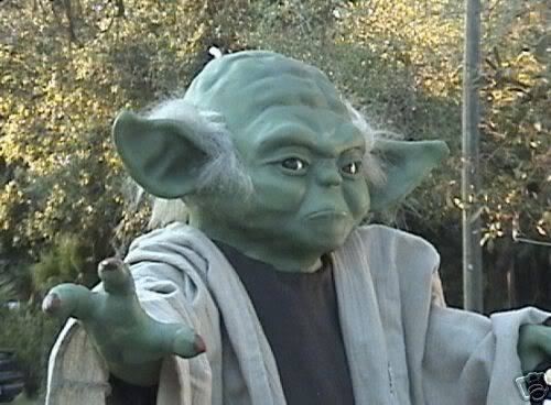 [Image: yoda8.jpg]