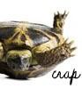 crapturtle-shoegal_icons.jpg crap turtle image by jacedes