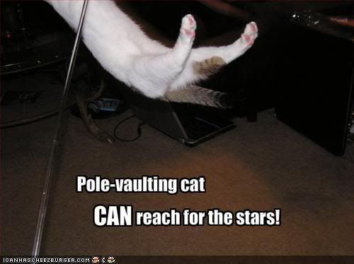 SpritePoleVaultingCat.jpg