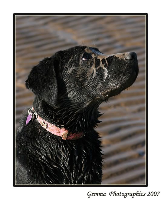 IMAGE: http://i19.photobucket.com/albums/b160/purplegem1985/molsbeach.jpg