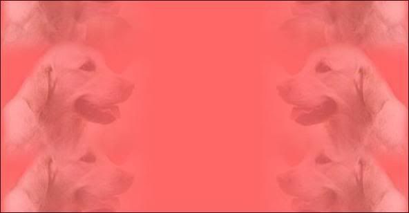  photo c5bccfb2.jpg