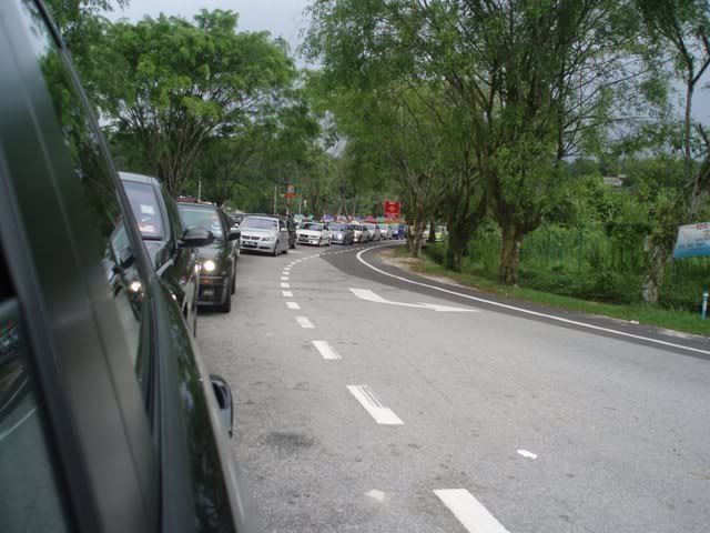 kelawang03.jpg