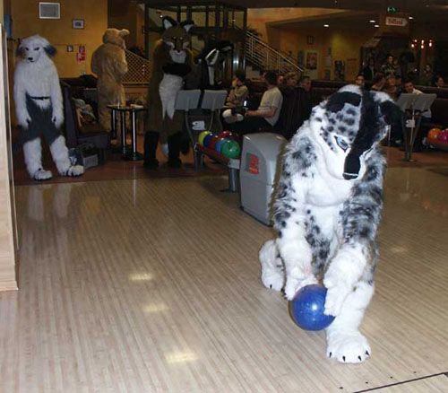 furrybowling.jpg