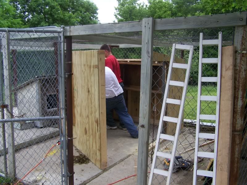 Chicken Coop Built Inside Dog Kennel **Painted Now UPDATED PIC