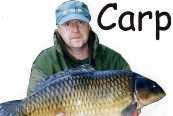 carpsmall.jpg