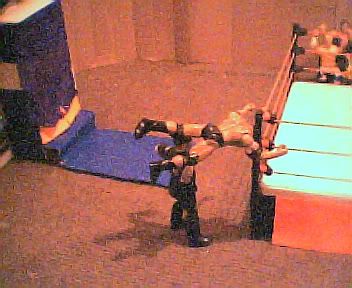 Image hosted by Photobucket.com