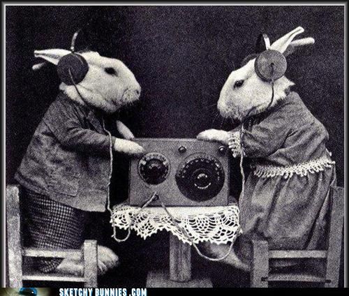  photo bunny20headphones.jpg