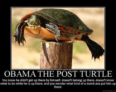 Obama Turtle