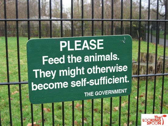  photo Feed-The-Animals.jpg