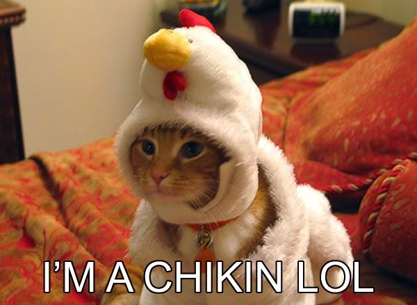 image: im-a-chikin-lol