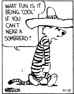 calvin_and_hobbes-sombrero.png