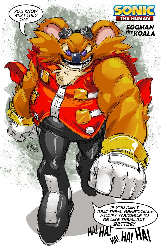 Eggman the Koala