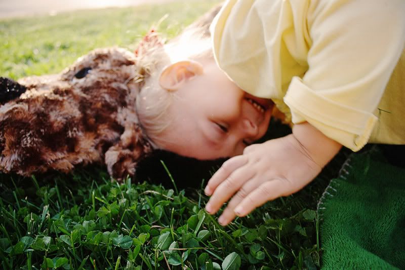 flashbird photography Grants Pass, Oregon