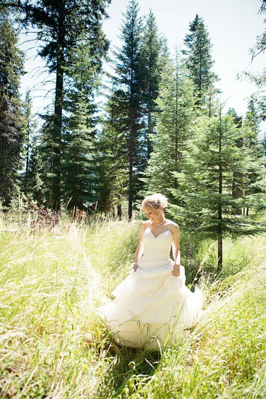 flashbird photography Grants Pass Oregon