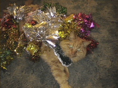 Tinsel1.gif