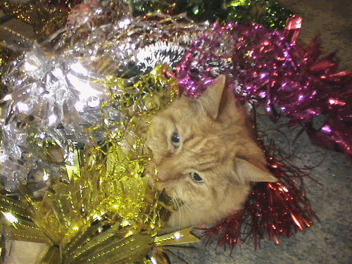 Tinsel2.gif