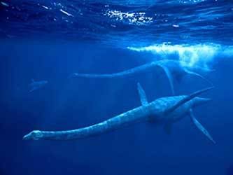 Plesiosaur Pictures, Images and Photos
