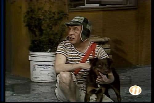 chaves_-_caozinho83.jpg