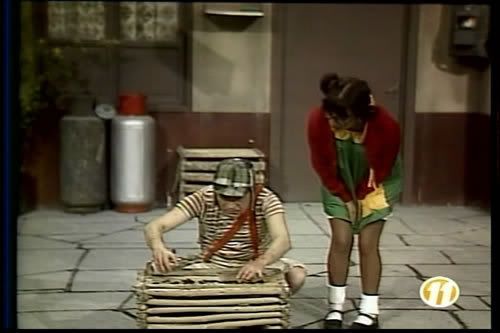 chaves_-_insetos83.jpg