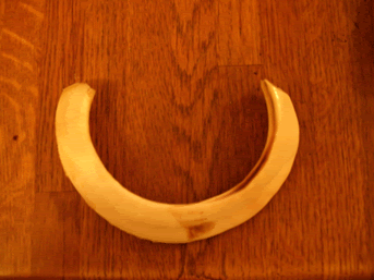 top-view-tooth.gif