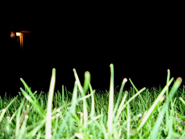 IMAGE: http://i19.photobucket.com/albums/b171/vinciepoo/yard1.jpg