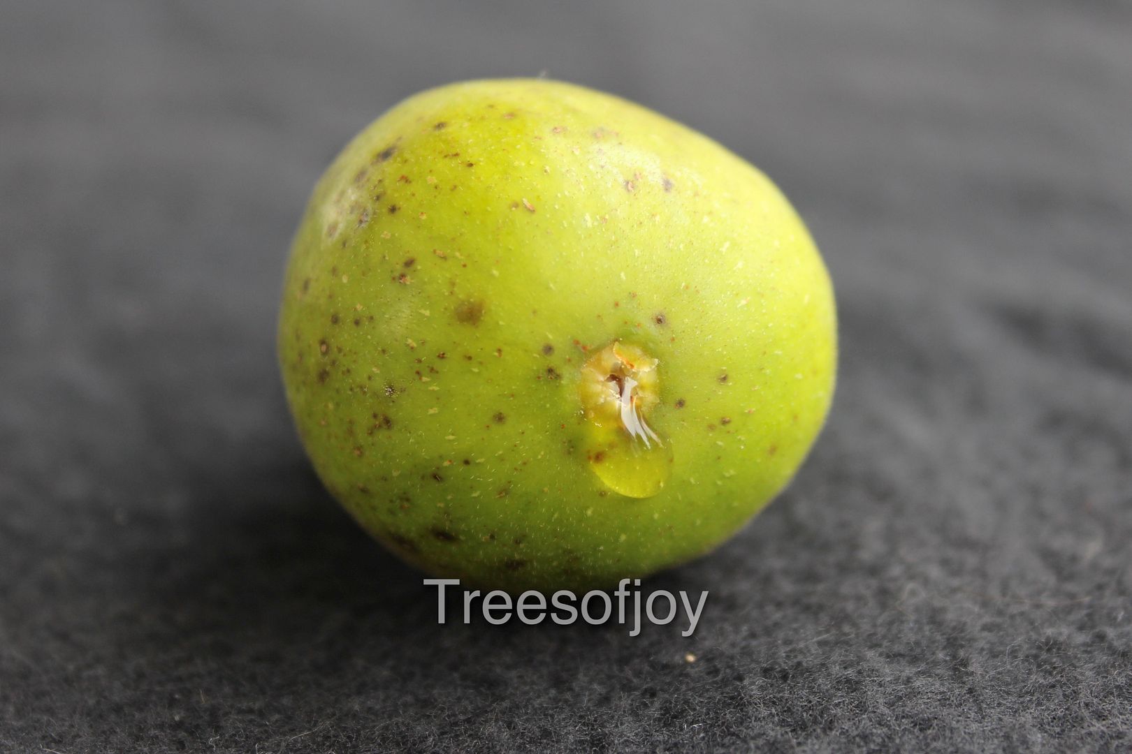 [IMG_2161_zpsybc9qfwx]