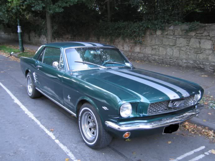 stang2.jpg