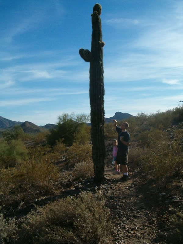 poking a cactus
