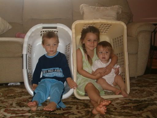 babies in a basket