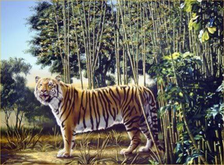 Hidden-Tiger-Optical-Illusion.jpg