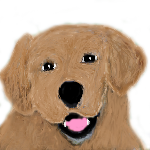 goldenretriver.png