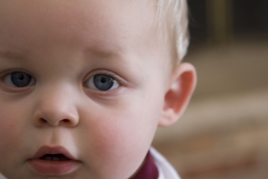 IMAGE: http://i19.photobucket.com/albums/b178/silentlore/IMG_6779.jpg