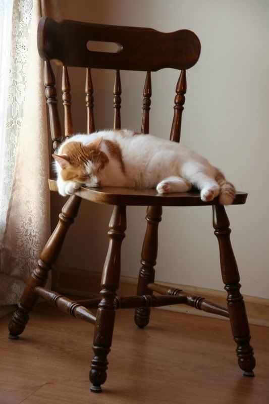 IMAGE: http://i19.photobucket.com/albums/b178/silentlore/IMG_6877.jpg