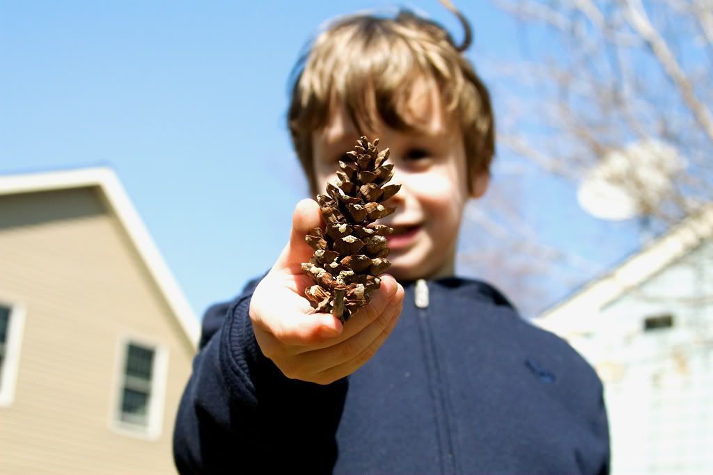 IMAGE: http://i19.photobucket.com/albums/b178/silentlore/IMG_7192_edit.jpg