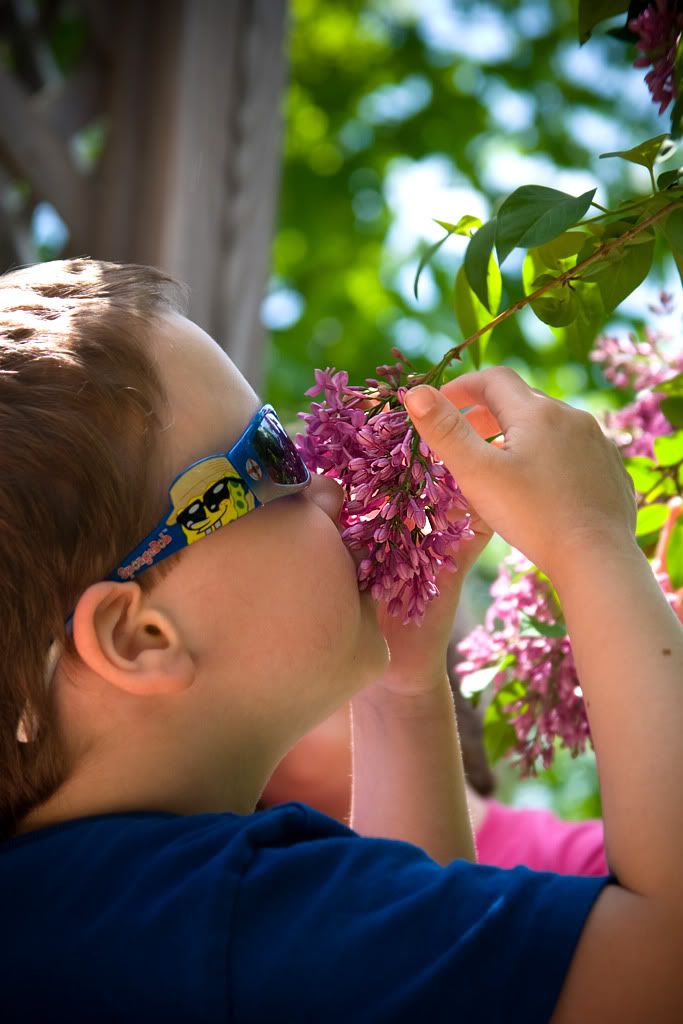 IMAGE: http://i19.photobucket.com/albums/b178/silentlore/IMG_7793.jpg