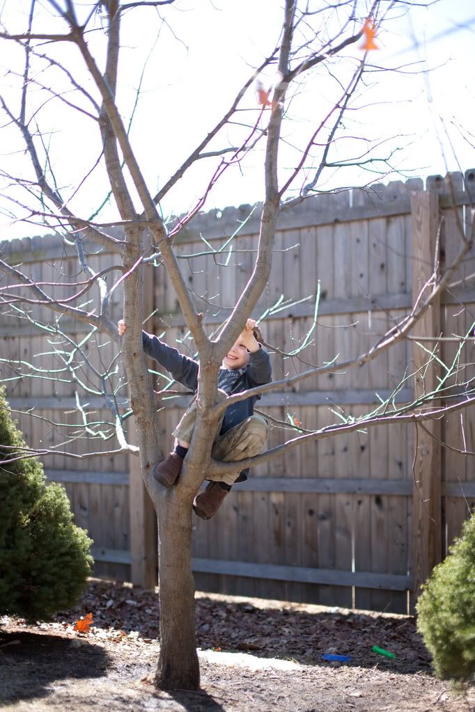 IMAGE: http://i19.photobucket.com/albums/b178/silentlore/IMG_9231.jpg