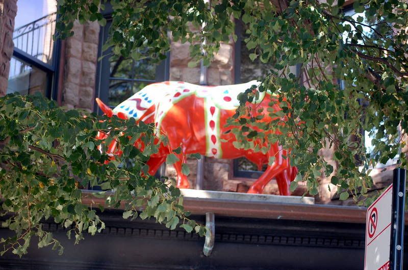 IMAGE: http://i19.photobucket.com/albums/b178/silentlore/d40/DSC_0095.jpg