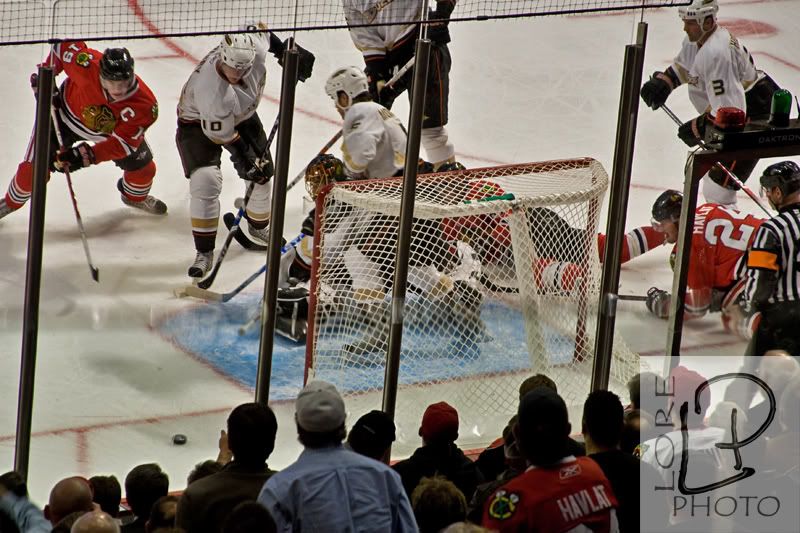 IMAGE: http://i19.photobucket.com/albums/b178/silentlore/hockey_08_09/hawks_ducks/IMG_5939-2.jpg